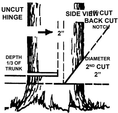ECHO CHAIN SAW - GENERAL SAFETY INSTRUCTIONS - 19