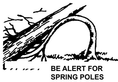 ECHO CHAIN SAW - DANGER! - 1