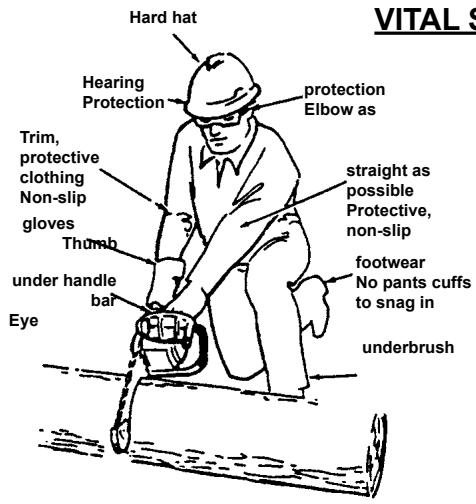ECHO CHAIN SAW - GUIDE BAR RAIL DAMAGE-TIME TO REPLACE - 8