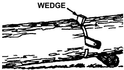 ECHO CHAIN SAW - GENERAL SAFETY INSTRUCTIONS - 12