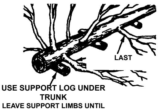 ECHO CHAIN SAW - GENERAL SAFETY INSTRUCTIONS - 24