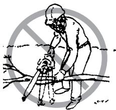 ECHO CHAIN SAW - DANGER! - 1