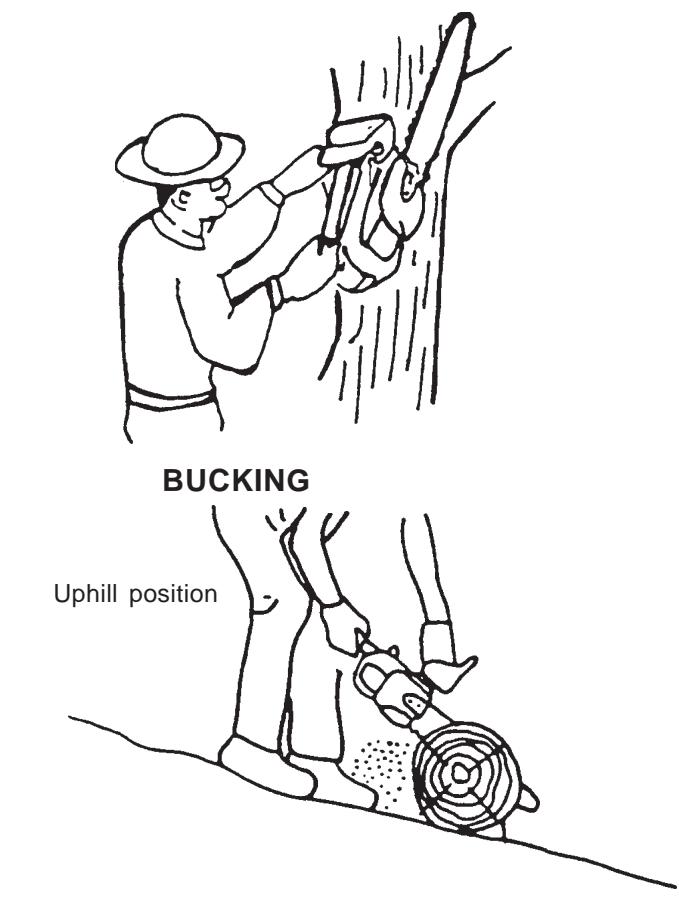 ECHO CS-340 - DANGER - 1