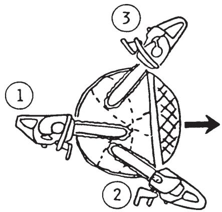 ECHO CS-340 - FELLING A TREE - 3
