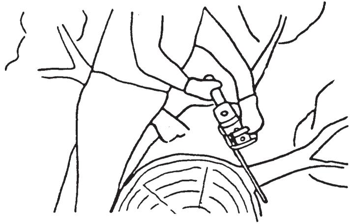 ECHO CS-340 - FELLING A TREE - 4