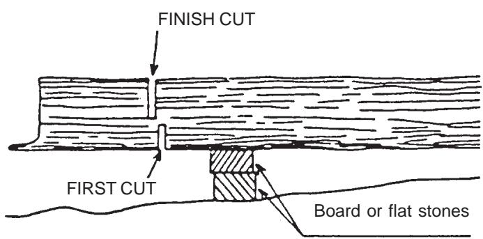 ECHO CS-340 - DANGER - 2