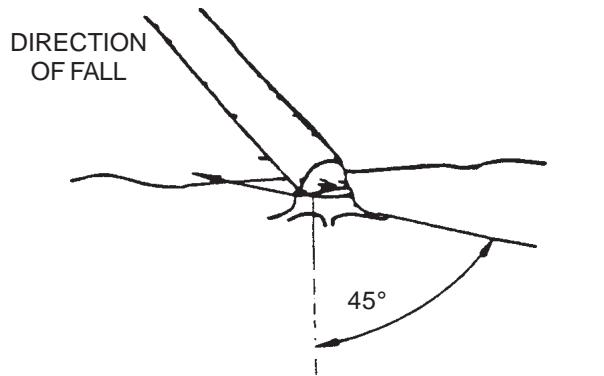 ECHO CS-340 - FELLING A TREE - 1