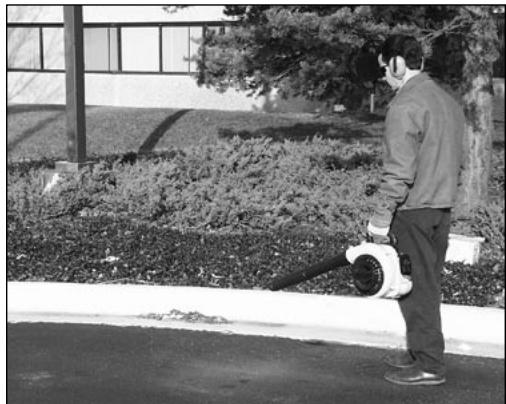 ECHO ES-210 - Remarque - 3