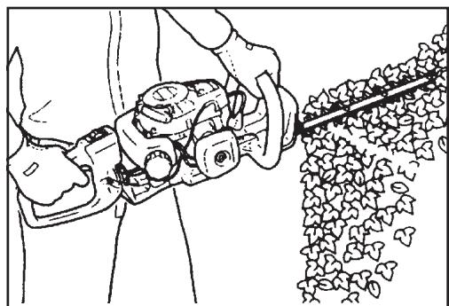 ECHO HC-150 - DANGER - 1