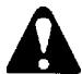 ECHO HC-2400 TYPE 1E - WARNING - 1