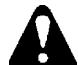 ECHO HC-2400 TYPE 1E - WARNING - 1