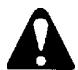 ECHO HC-2400 TYPE 1E - WARNING - 1
