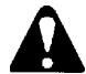 ECHO HC-2400 TYPE 1E - WARNING - 1