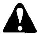 ECHO HC-2400 TYPE 1E - WARNING - 1