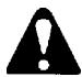ECHO HC-2400 TYPE 1E - WARNING - 1