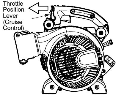 POULAN BVM210VS - STARTING A COLD ENGINE (or warm engine after running out of fuel) - 1