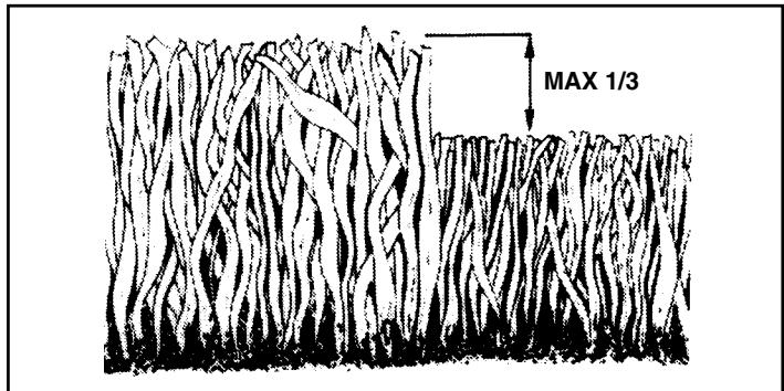 POULAN PDB1842STA - MULCHING MOWING TIPS - 1