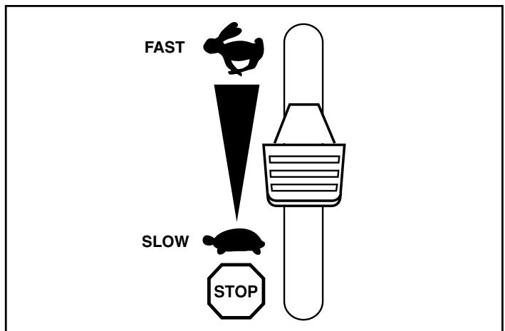 POULAN PRO 961970005 - TO USE THROTTLE CONTROL (See Fig. 12) - 1