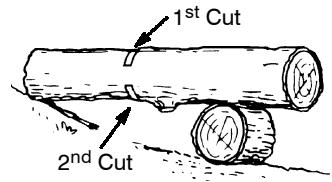 POULAN 221 - BUCKING USING A LOG OR SUPPORT STAND - 2