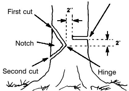 POULAN 221 - TREE - 1