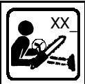 POULAN 221 - IDENTIFICATION OF SYMBOLS - 8