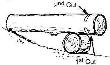 POULAN 221 - BUCKING USING A LOG OR SUPPORT STAND - 1