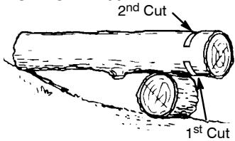 POULAN 262 - BUCKING USING A LOG OR SUPPORT STAND - 1