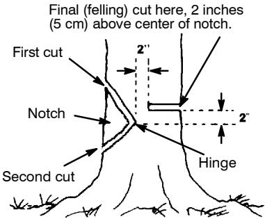 POULAN 262 - NOTCH CUT AND FELLING THE TREE - 1