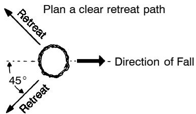 POULAN 380 - TREE FELLING TECHNIQUES - 1