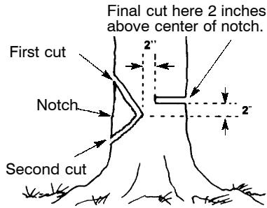 POULAN 380 - NOTCH CUT AND FELLING THE TREE - 1
