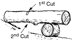 POULAN 380 - BUCKING USING A LOG OR SUPPORT STAND - 3
