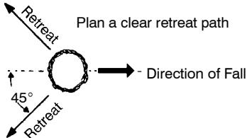 POULAN 1420 - TREE FELLING TECHNIQUES - 1