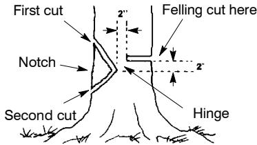 POULAN 1420 - NOTCH CUT AND FELLING TREE - 1