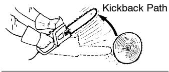 POULAN 1420 - ELECTRICAL SAFETY - 1