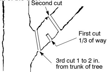 POULAN 1420 - PRUNING - 1
