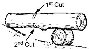 POULAN 1975 - BUCKING USING A LOG OR SUPPORT STAND - 2
