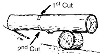 POULAN 2025 - Using a log for support - 2