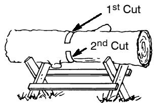 POULAN 2025 - Using a log for support - 4