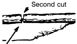POULAN 2025 - TYPES OF CUTTING USED FOR BUCKING - 5
