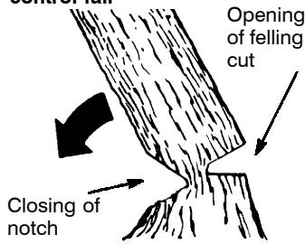 POULAN 2025 - NOTCH CUT AND FELLING THE TREE - 2