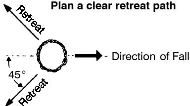 POULAN 2025 - TREE FELLING TECHNIQUES - 1