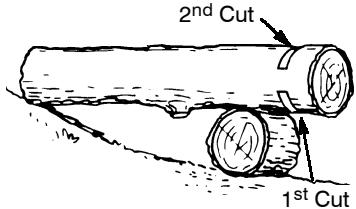 POULAN 2025 - Using a log for support - 1
