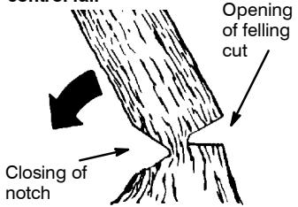 POULAN 2350 - NOTCH CUT AND FELLING THE TREE - 2