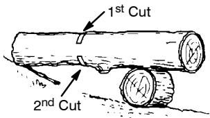 POULAN 2450 - BUCKING USING A LOG OR SUPPORT STAND - 2