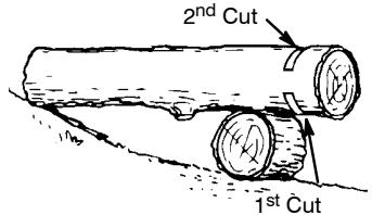 POULAN 2450 - BUCKING USING A LOG OR SUPPORT STAND - 1