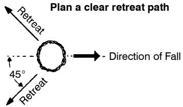 POULAN 2450 - TREE FELLING TECHNIQUES - 1