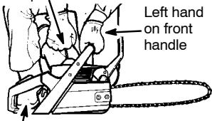 POULAN 2450 - IMPORTANT - 1