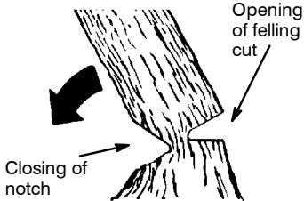 POULAN 2450 - Hinge holds tree on stump and helps control fall - 1