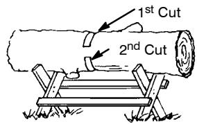 POULAN 2450 - BUCKING USING A LOG OR SUPPORT STAND - 4