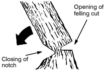POULAN 2750 - NOTCH CUT AND FELLING THE TREE - 2